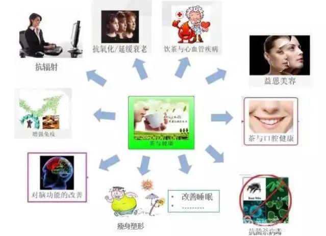 非凡体育中国茶文化简介(图3)