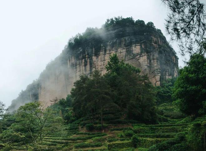 非凡体育茶与茶器专场：2016年布朗古树茶、紫砂壶茶具套组、松花石茶盘……(图5)