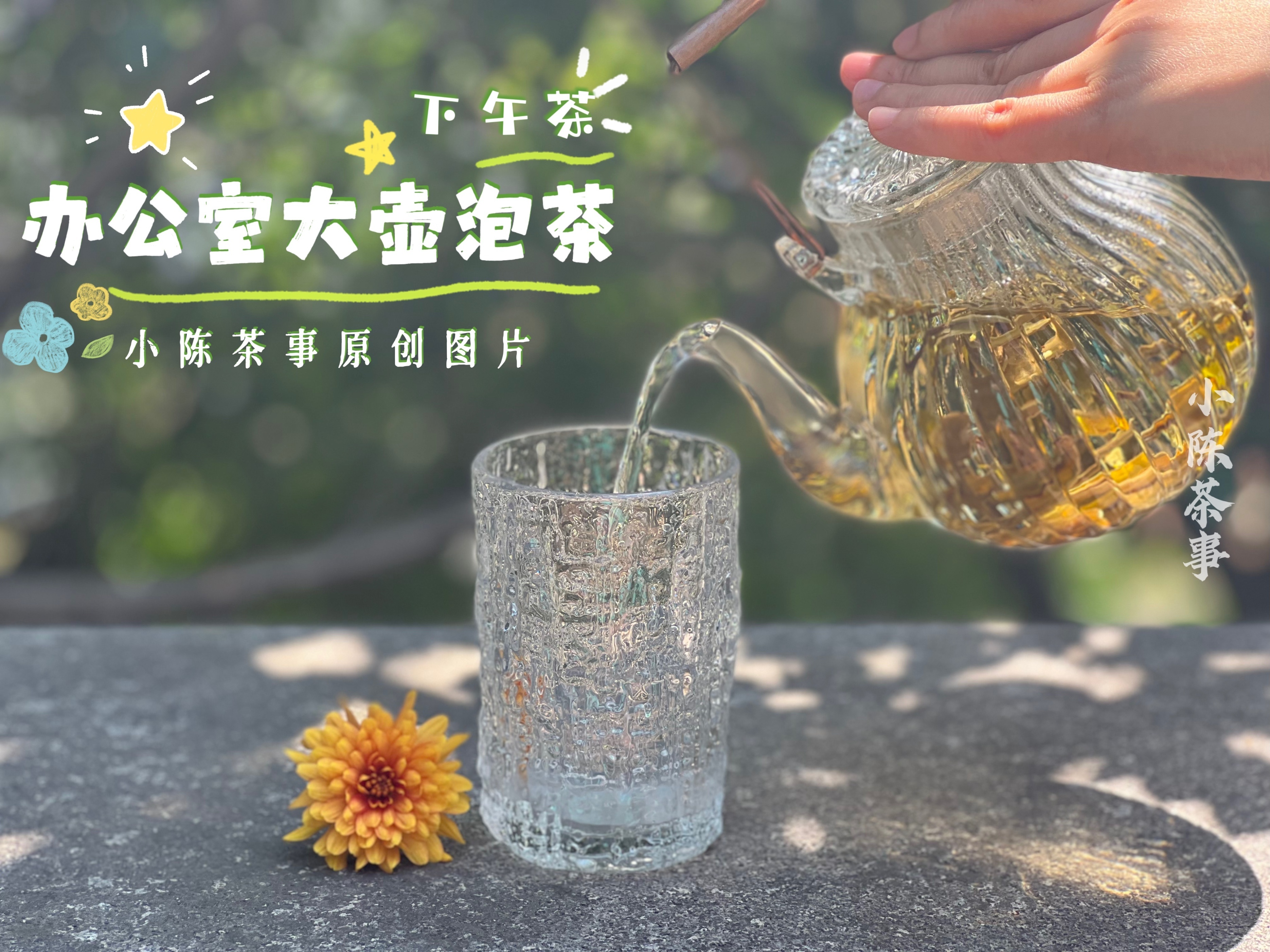 六大茶类要用哪种茶壶冲泡味道才好喝？非凡体育(图6)